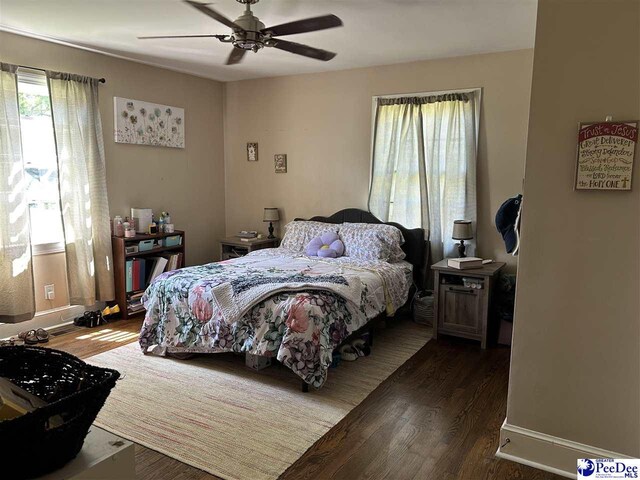 916 Kalmia St, Florence, SC 29501 - bedroom with wood finished floors, ceiling fan, and multiple windows