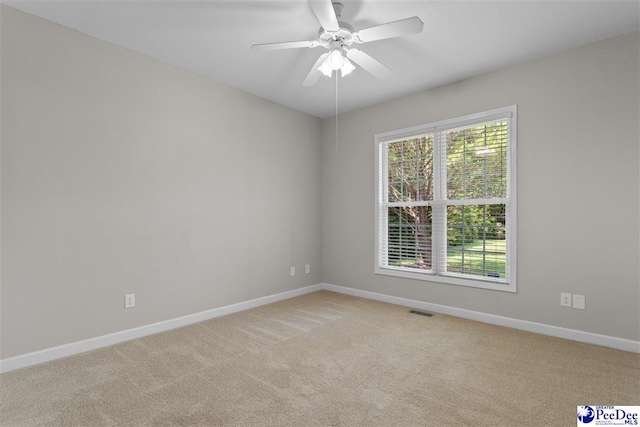2913 Bridle Cir, Florence, SC 29505 - photo 20