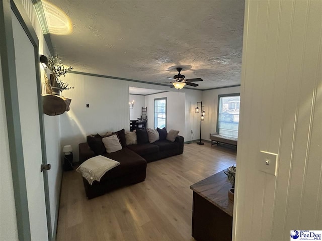 living room featuring hardwood / wood-style flooring, ceiling fan, and a textured ceiling