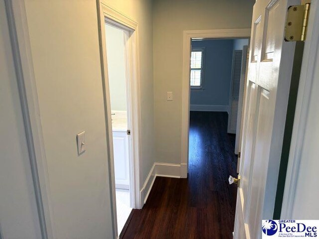 hall featuring dark hardwood / wood-style floors