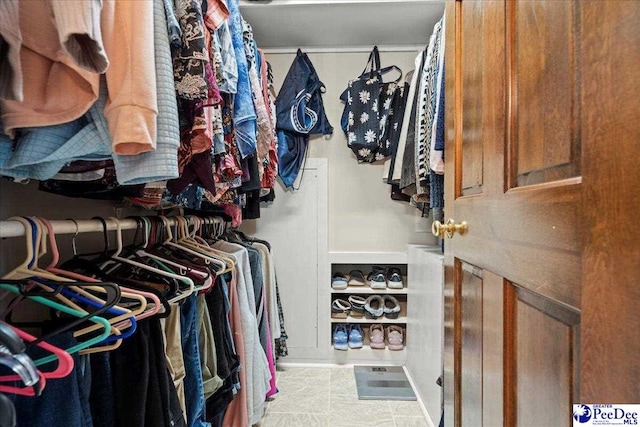 view of spacious closet