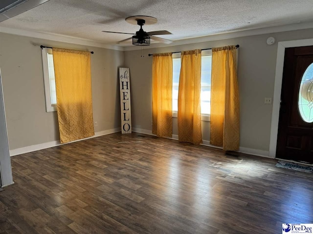 entrance foyer featuring plenty of natural light and dark hardwood / wood-style flooring