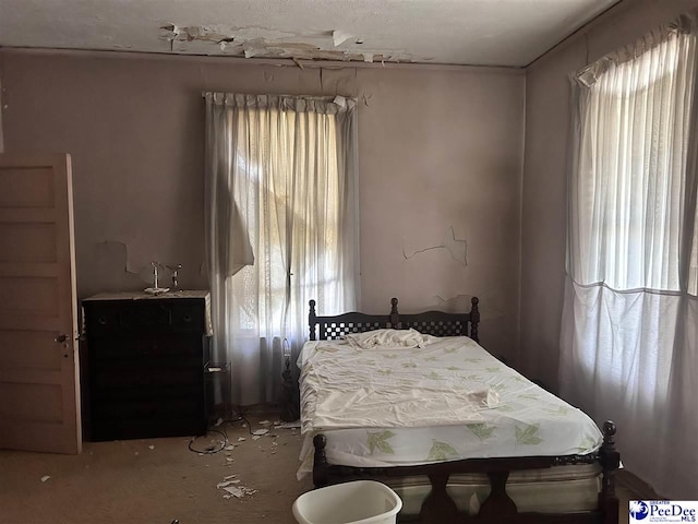 204 Witcover St, Marion, SC 29571 - view of bedroom