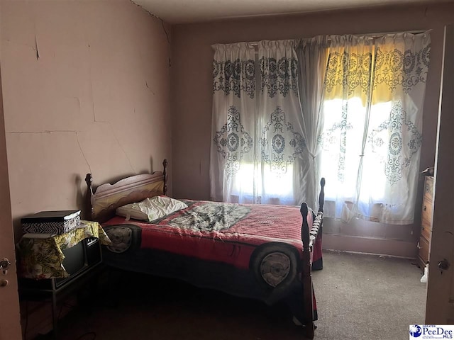 204 Witcover St, Marion, SC 29571 - bedroom featuring carpet floors