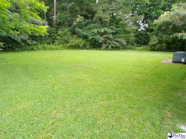 207 Mcdaniels St, Mullins, SC 29574 - photo 2