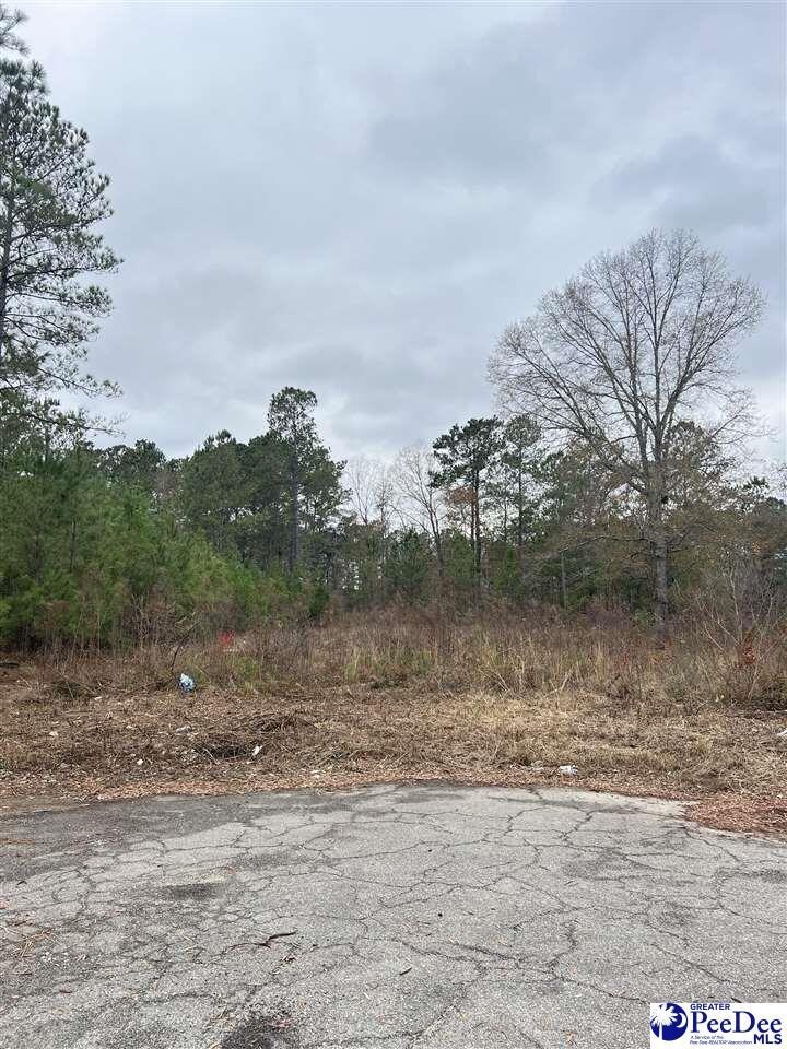 701 E Butler Ln, Florence, SC 29505 - photo 1