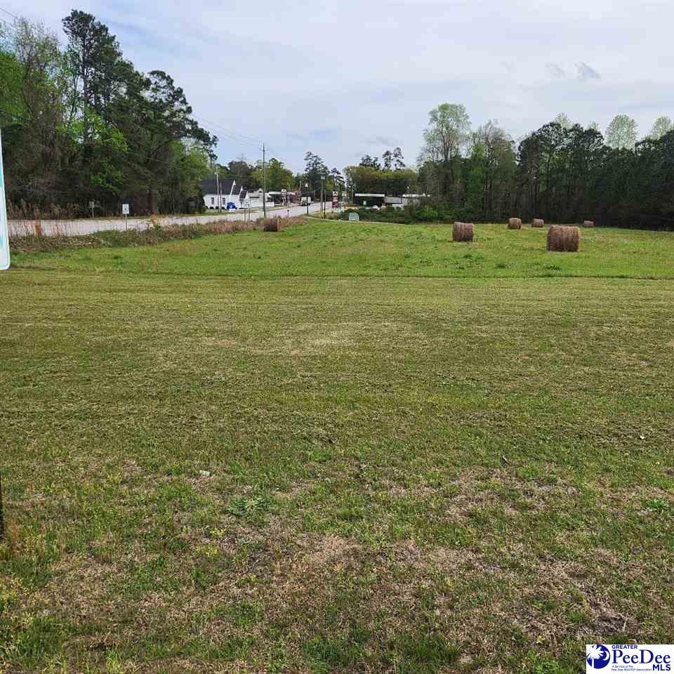 TBD S Georgetown Hwy, Johnsonville, SC 29555