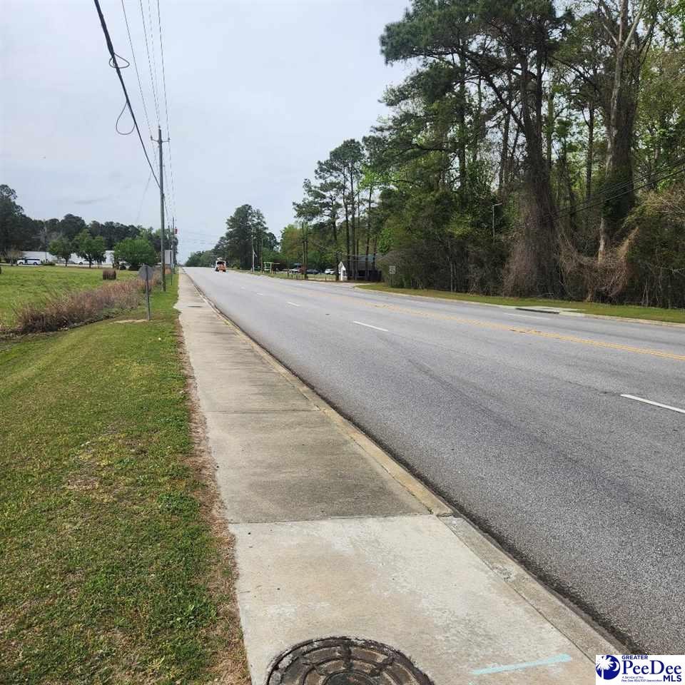 TBD S Georgetown Hwy, Johnsonville, SC 29555