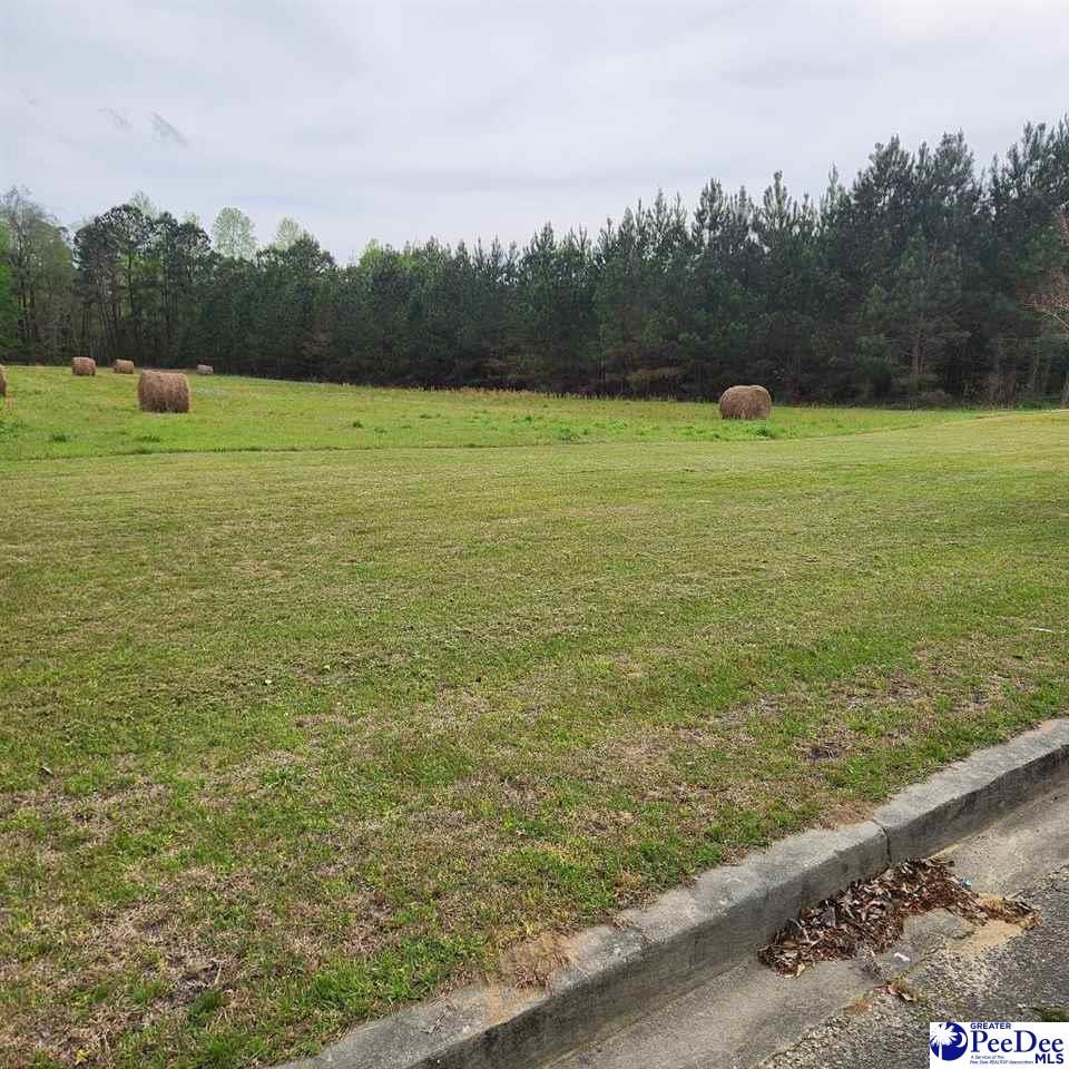TBD S Georgetown Hwy, Johnsonville, SC 29555