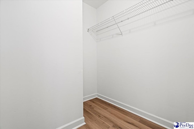 walk in closet featuring wood finished floors