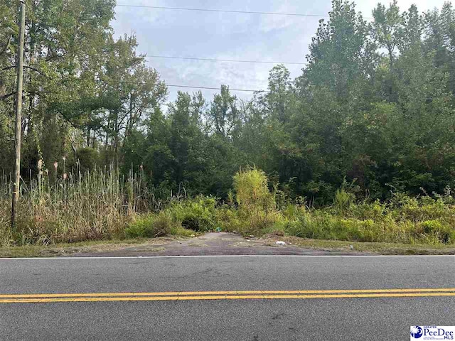 5217 Chinaberry Rd, Florence SC, 29506 land for sale