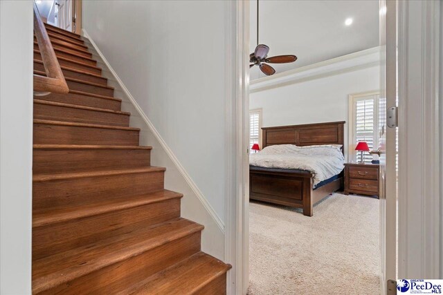 808 Crandall Hall, Florence, SC 29501 - photo 33