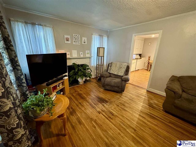 66 Victory Dr, Cheraw, SC 29520 - living room featuring crown molding, wood finished floors, and a textured ceiling