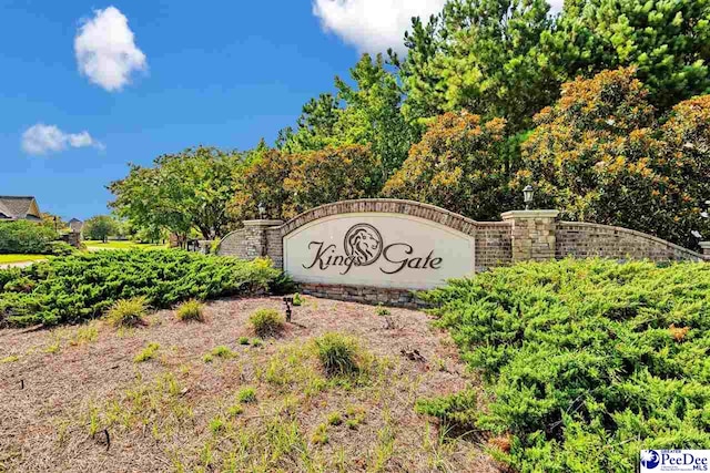 3105 Kings Gate Ct, Florence, SC 29501 - photo 50