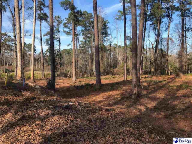 4336 Byrnes Blvd, Florence SC, 29506 land for sale