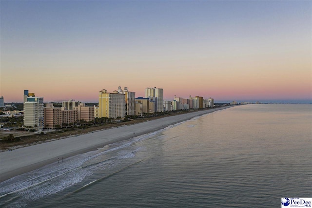 property view of water with a beach view