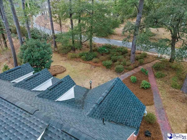 203 Huckleberry Dr, Cheraw, SC 29520 - photo 50