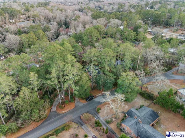 203 Huckleberry Dr, Cheraw, SC 29520 - photo 67