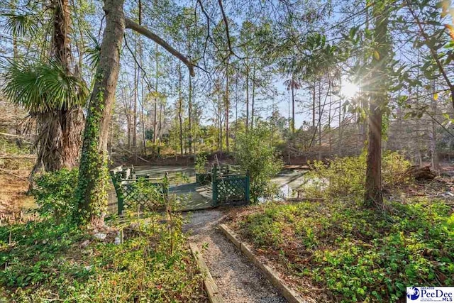 203 Huckleberry Dr, Cheraw, SC 29520 - photo 53