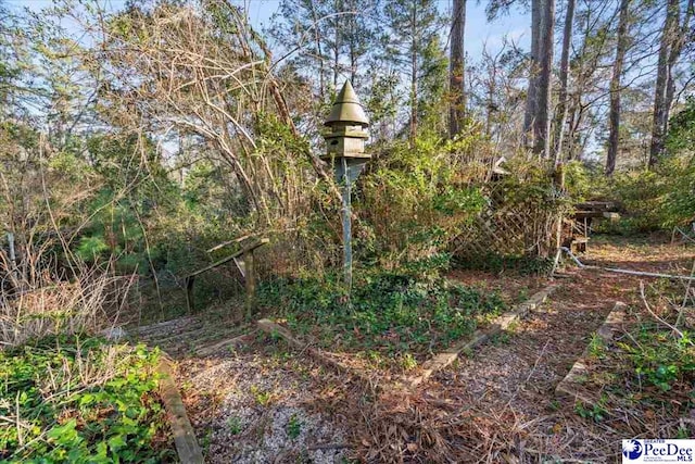 203 Huckleberry Dr, Cheraw, SC 29520 - photo 49