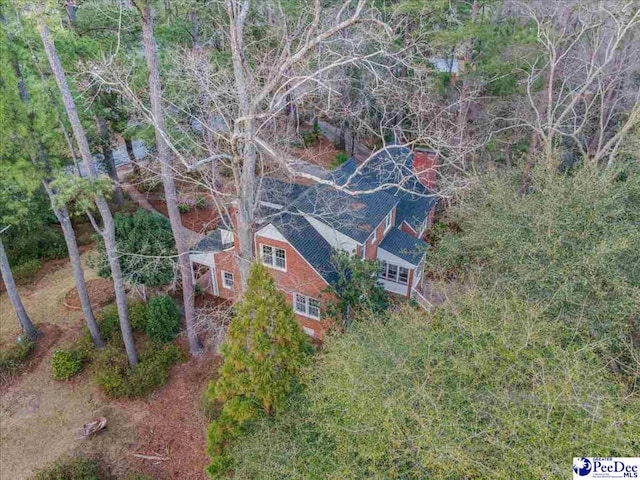 203 Huckleberry Dr, Cheraw, SC 29520 - photo 61