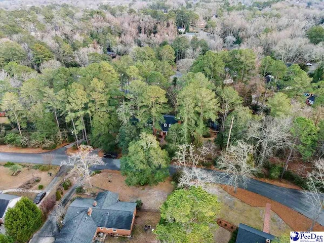 203 Huckleberry Dr, Cheraw, SC 29520 - photo 65