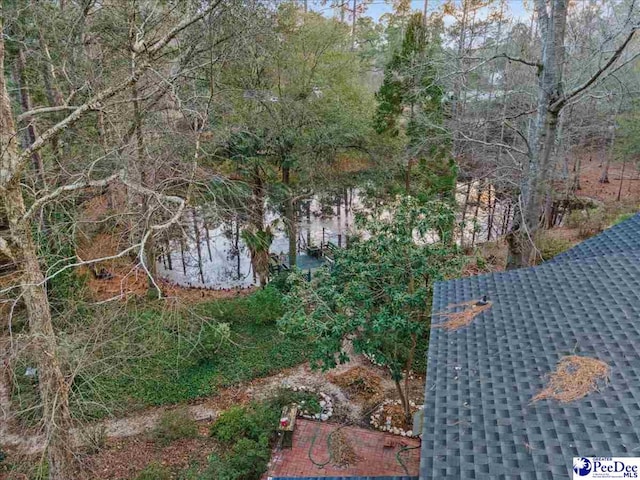 203 Huckleberry Dr, Cheraw, SC 29520 - photo 19