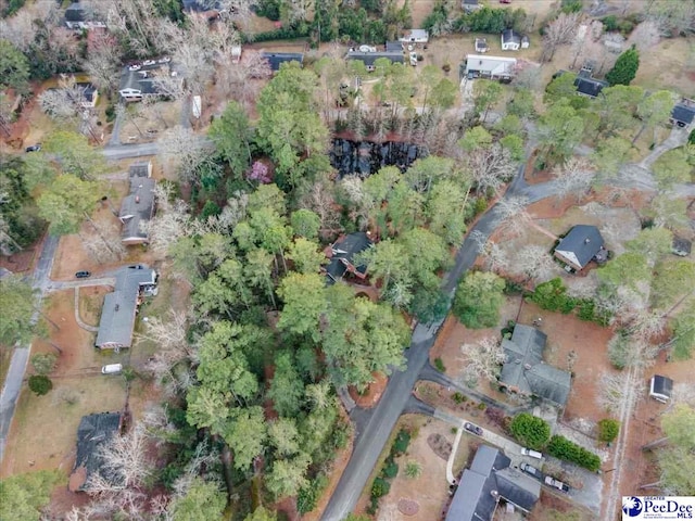 203 Huckleberry Dr, Cheraw, SC 29520 - photo 64