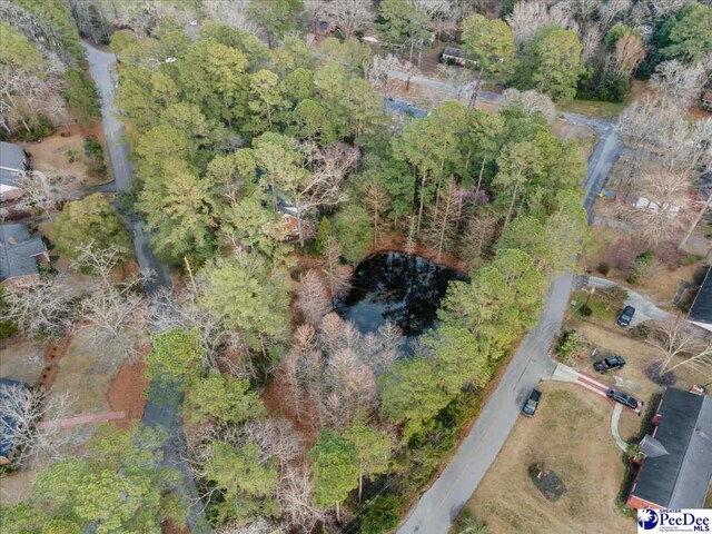 203 Huckleberry Dr, Cheraw, SC 29520 - photo 2