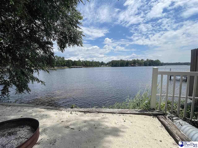 109 Lakeview Blvd, Hartsville, SC 29550 - photo 35