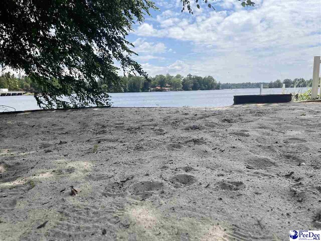 109 Lakeview Blvd, Hartsville, SC 29550 - photo 36