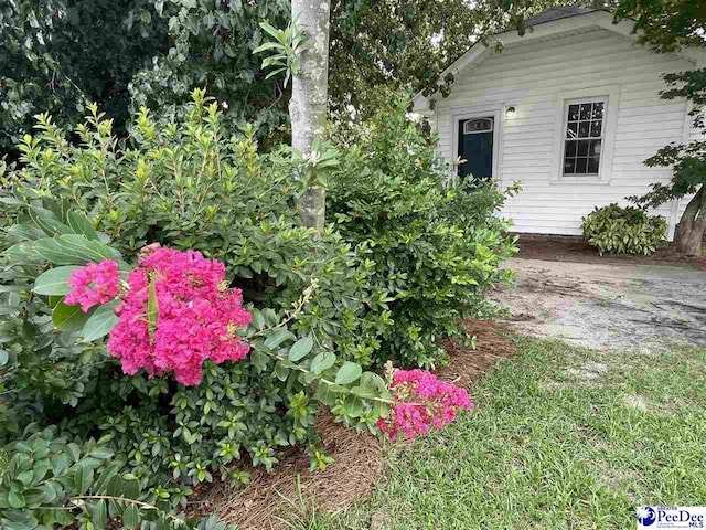 109 Lakeview Blvd, Hartsville, SC 29550 - photo 50