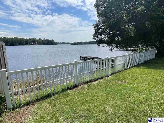 109 Lakeview Blvd, Hartsville, SC 29550 - photo 3