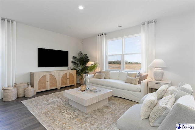 555 Strawberry Field Way, Galivants Ferry, SC 29588 - living area with wood finished floors and recessed lighting