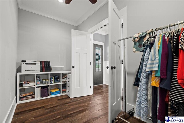 spacious closet with a ceiling fan and wood finished floors