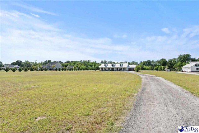 view of road with gravel driveway