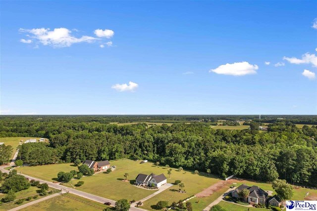 4625 Old S Dr, Timmonsville, SC 29161 - photo 42
