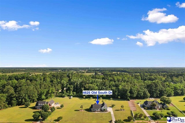 4625 Old S Dr, Timmonsville, SC 29161 - photo 40