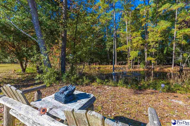 634 Georgetown Rd, Darlington, SC 29532 - view of yard