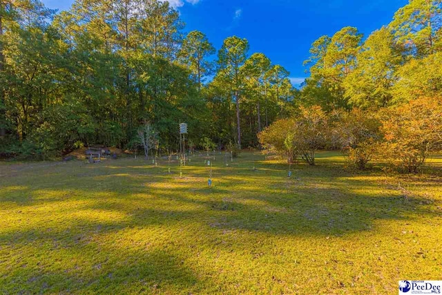 634 Georgetown Rd, Darlington, SC 29532 - view of yard