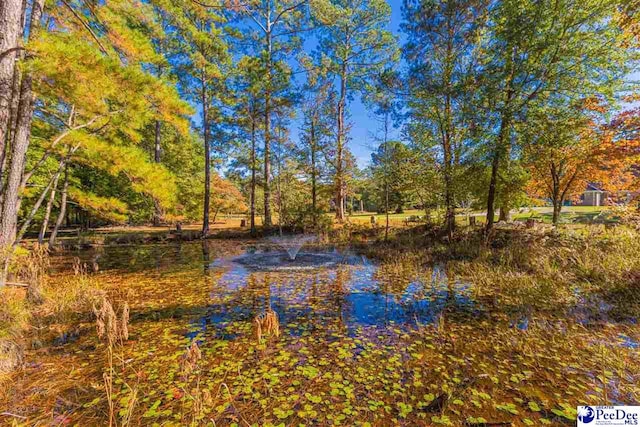 634 Georgetown Rd, Darlington, SC 29532 - view of water feature