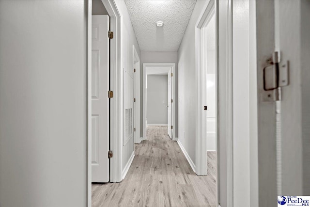 2125-D Sanderling Dr, Florence, SC 29505 - corridor with light wood finished floors, a textured ceiling, and baseboards