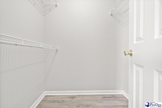2125-D Sanderling Dr, Florence, SC 29505 - walk in closet with wood finished floors