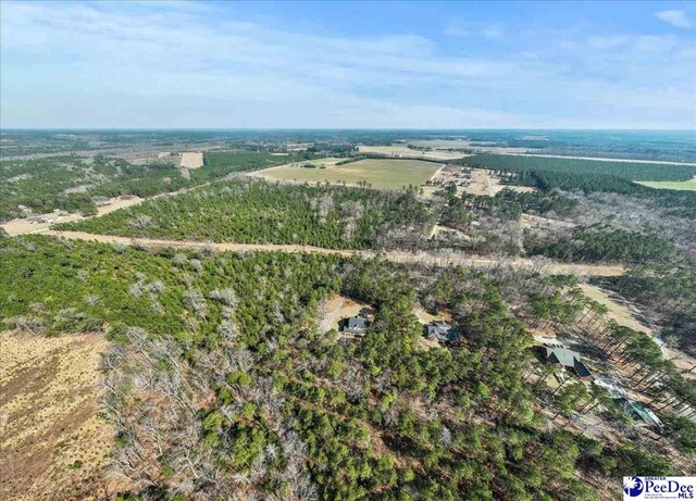 bird's eye view featuring a rural view