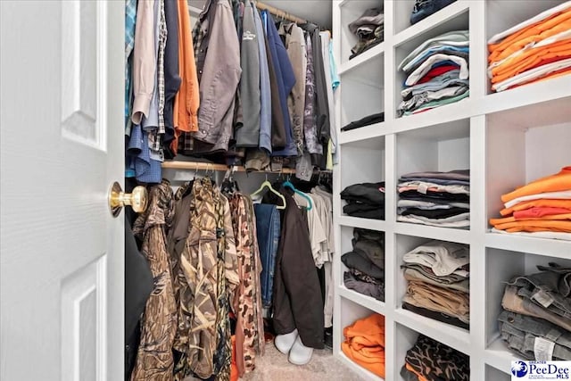 spacious closet with carpet