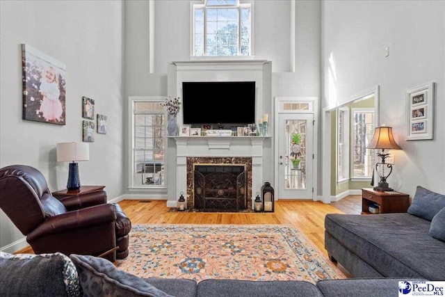 living area featuring baseboards, a healthy amount of sunlight, wood finished floors, and a fireplace