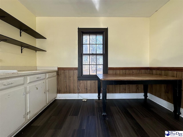 unfurnished dining area with dark hardwood / wood-style flooring and wood walls