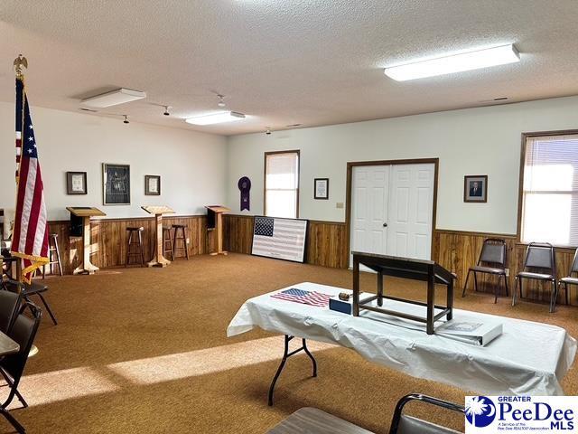 interior space with carpet, wainscoting, wood walls, and a textured ceiling