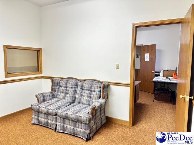 living area featuring carpet and baseboards