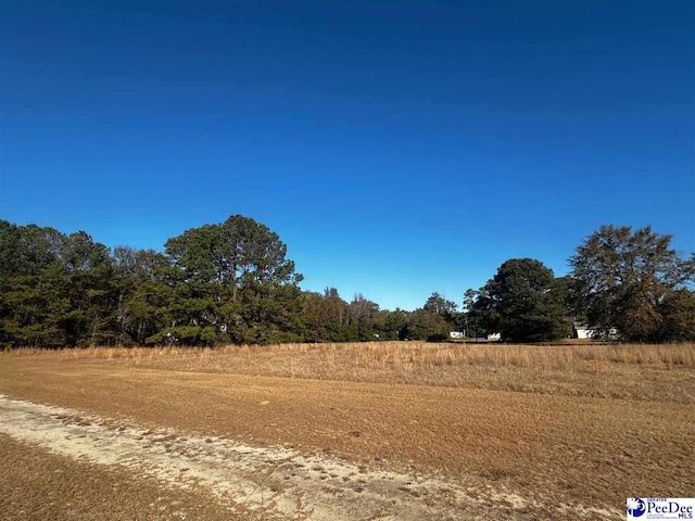 view of nature featuring a rural view